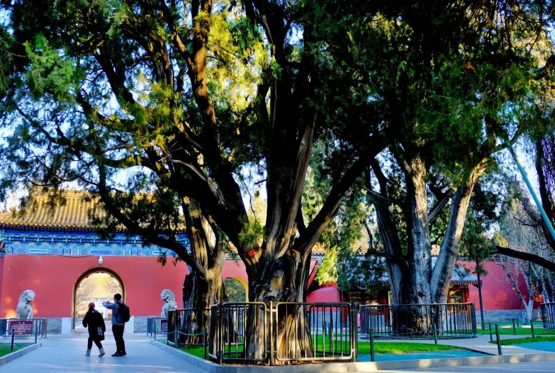 安全出行宝典,北京安全出游好去处