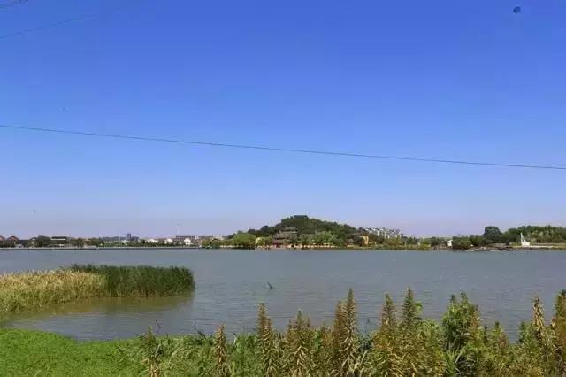 宁波周边踏青免费一日游,宁波踏青游玩的景点