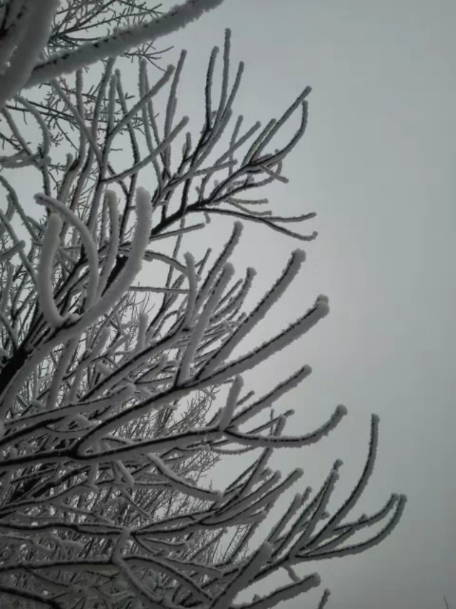 散文冬天的湖,冬天散文朗诵