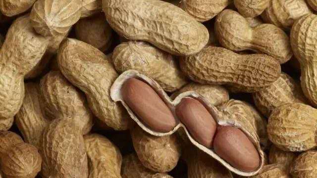 花生怎么防止黄曲霉菌发生,花生黄曲霉病防治