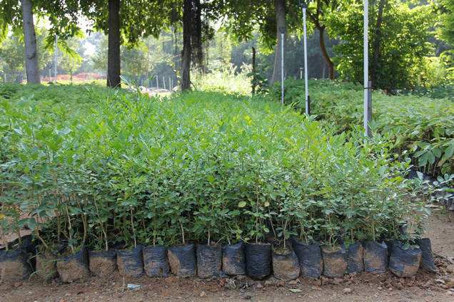 生活在钢筋水泥的丛林里,生活在钢筋水泥里