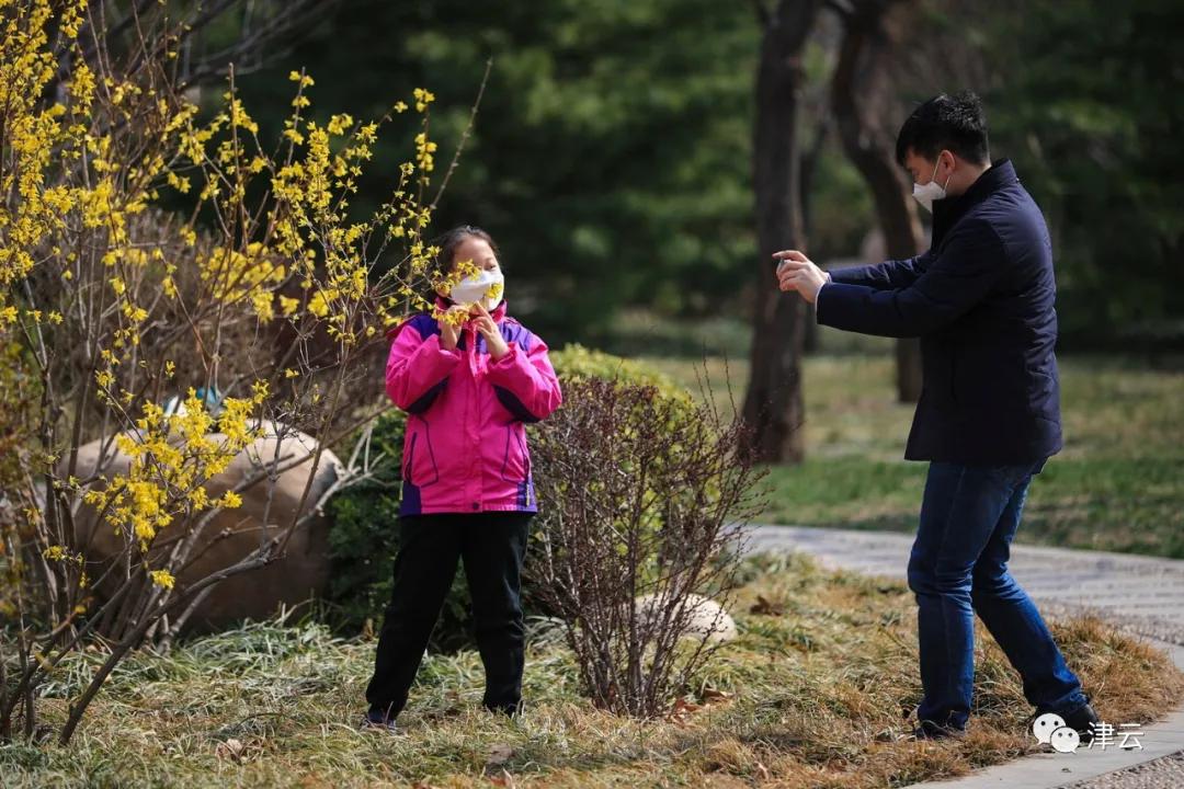 天津北辰郊野公园开放最新通知,天津都有哪些公园随时免费开放