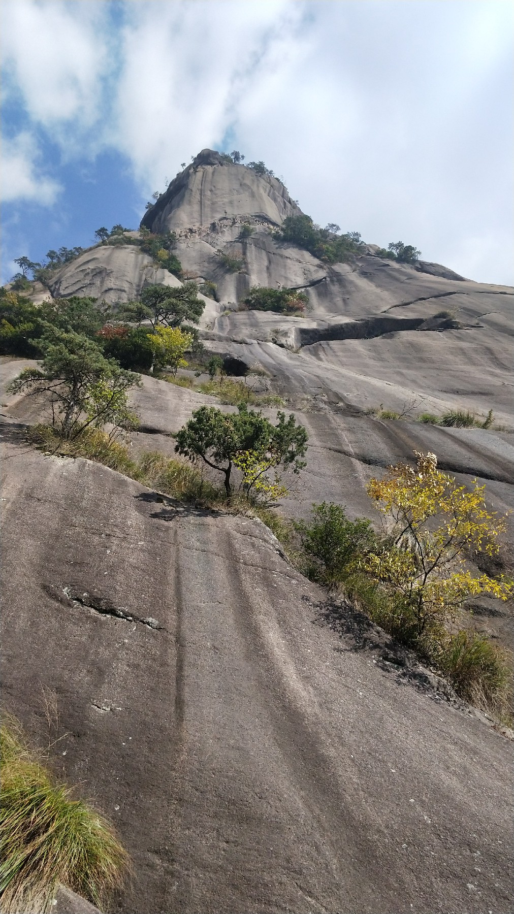 灏戝勾鏃剁殑姊︽兂榛勫北,瀛︾敓鏃朵唬姊︽兂