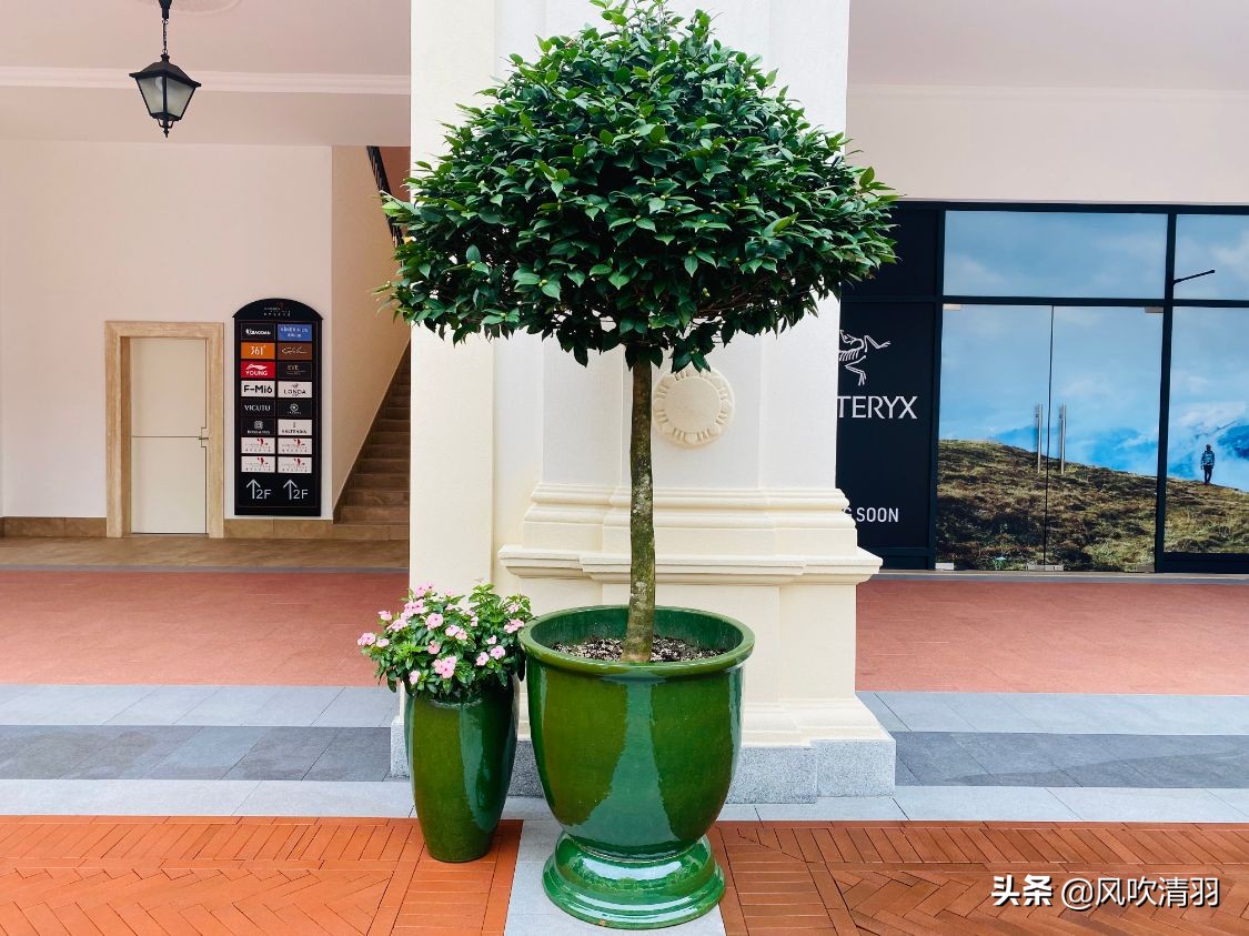 成都一个“意式”小镇火了,购物便宜品牌繁多,3500个免费停车位