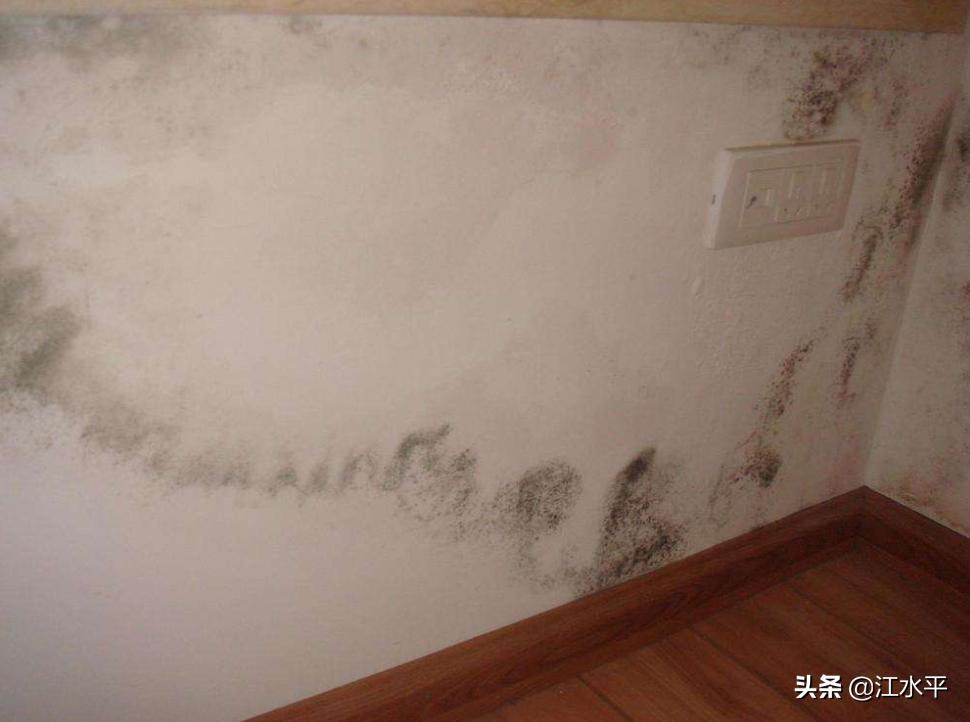 房子墙上起霉点什么原因,房子墙根有霉点是什么原因导致的