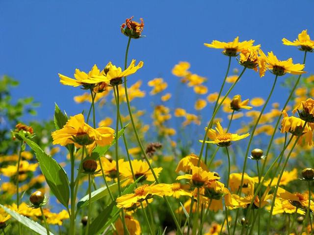 如何调整好自己的心态赵玉平,如何调整好自己的心态搞好军训