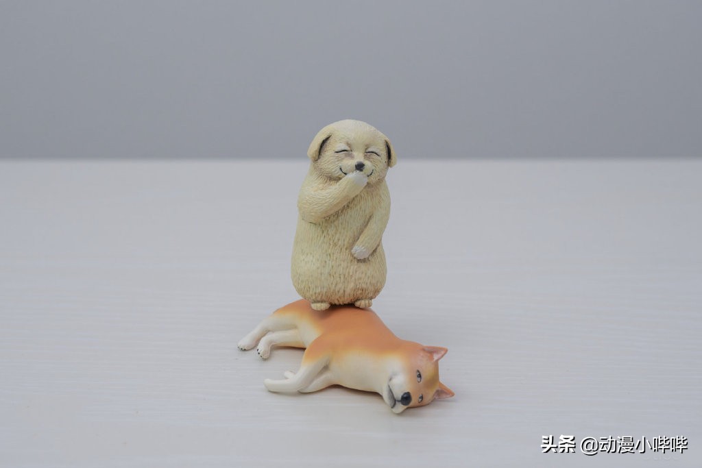 笑得丧心病狂的表情包狗狗,沙雕又可爱的狗狗表情包