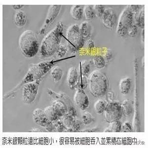 纳米银水产副作用,纳米银在水产上用刺激大吗