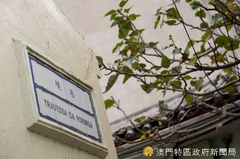 澳门必打卡拍照攻略,来澳门必打卡的店