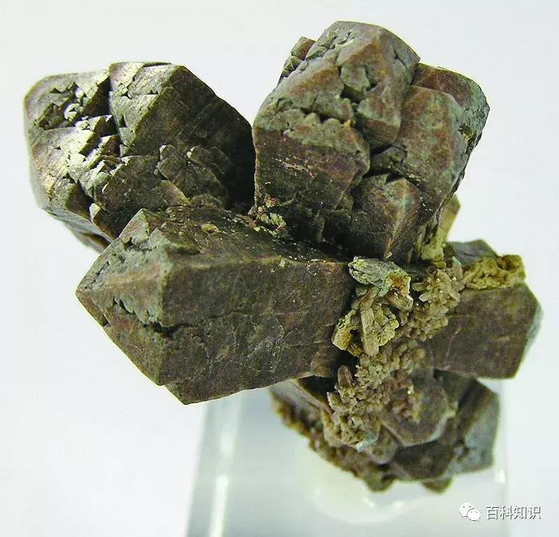 宝石级咖啡色锆石,锆石是白色宝石吗