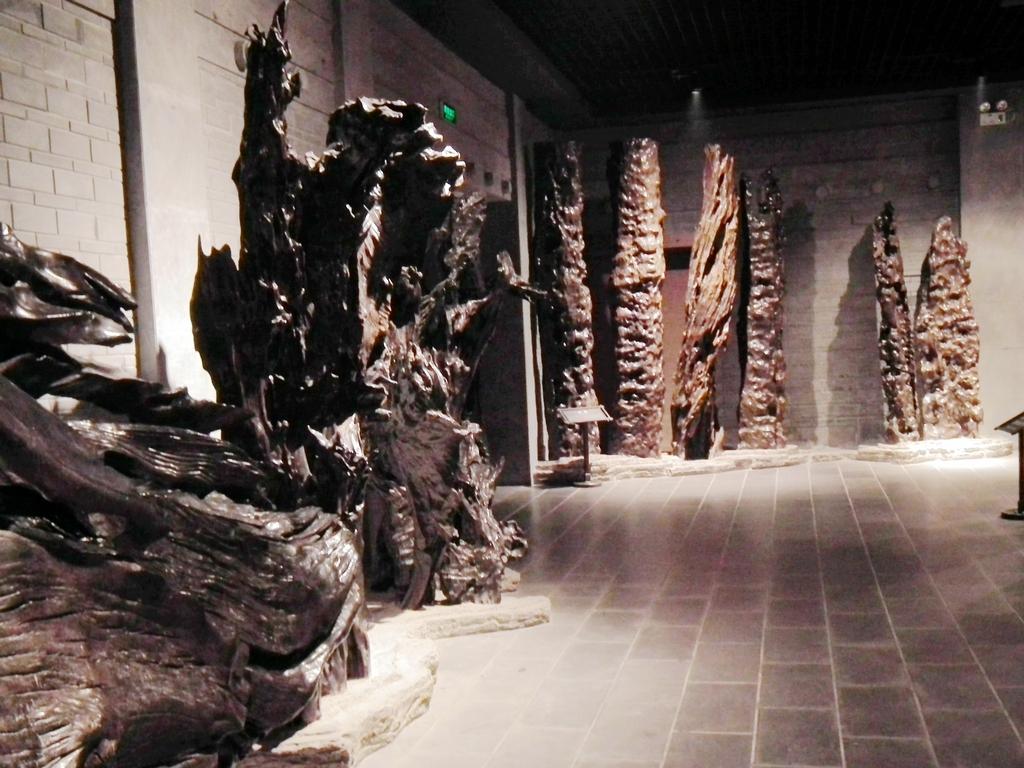 嘉陵江惊现巨大阴沉木有什么用处,地下为什么有乌木阴沉木