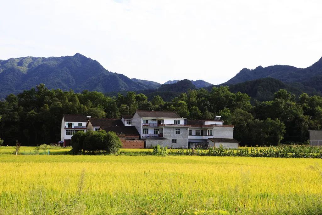 汉中龙池湖攻略,汉中龙池湖简介