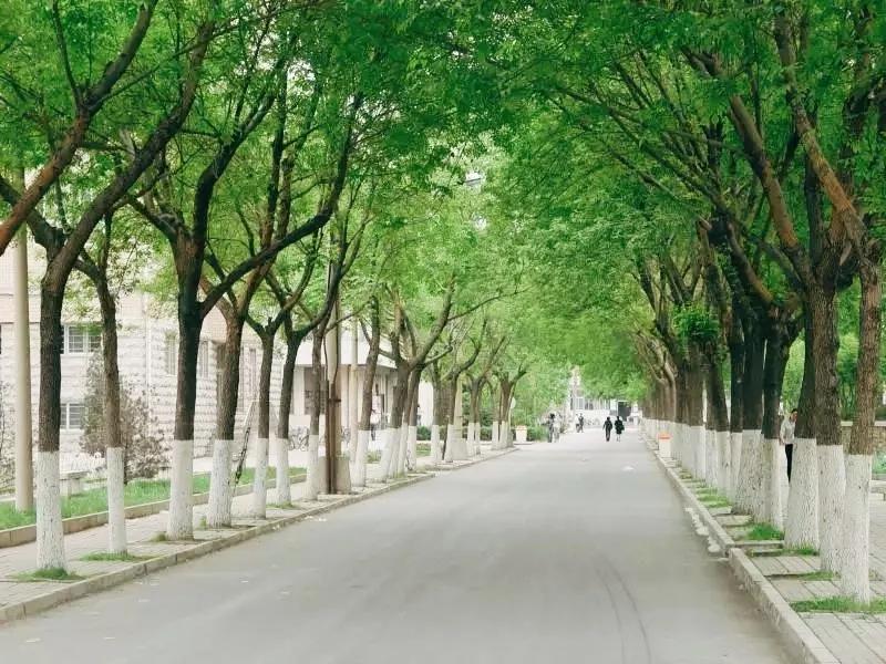 天津商业大学综合排名,天津商业大学真实排名