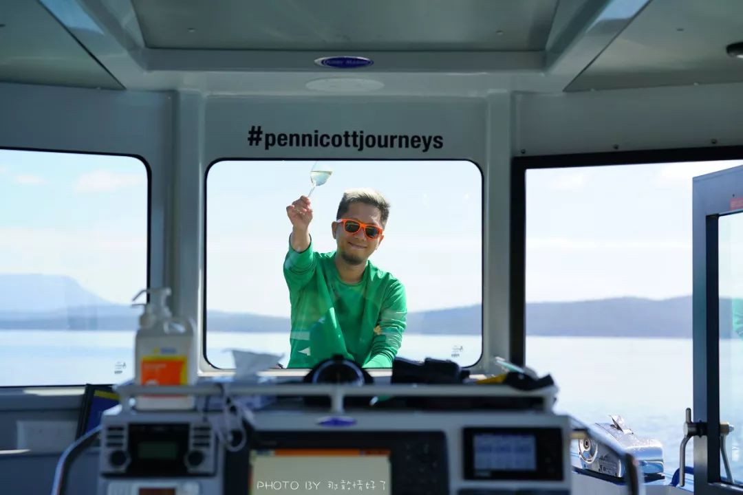 去哪里旅游可以看南极企鹅,旅游攻略南极看企鹅