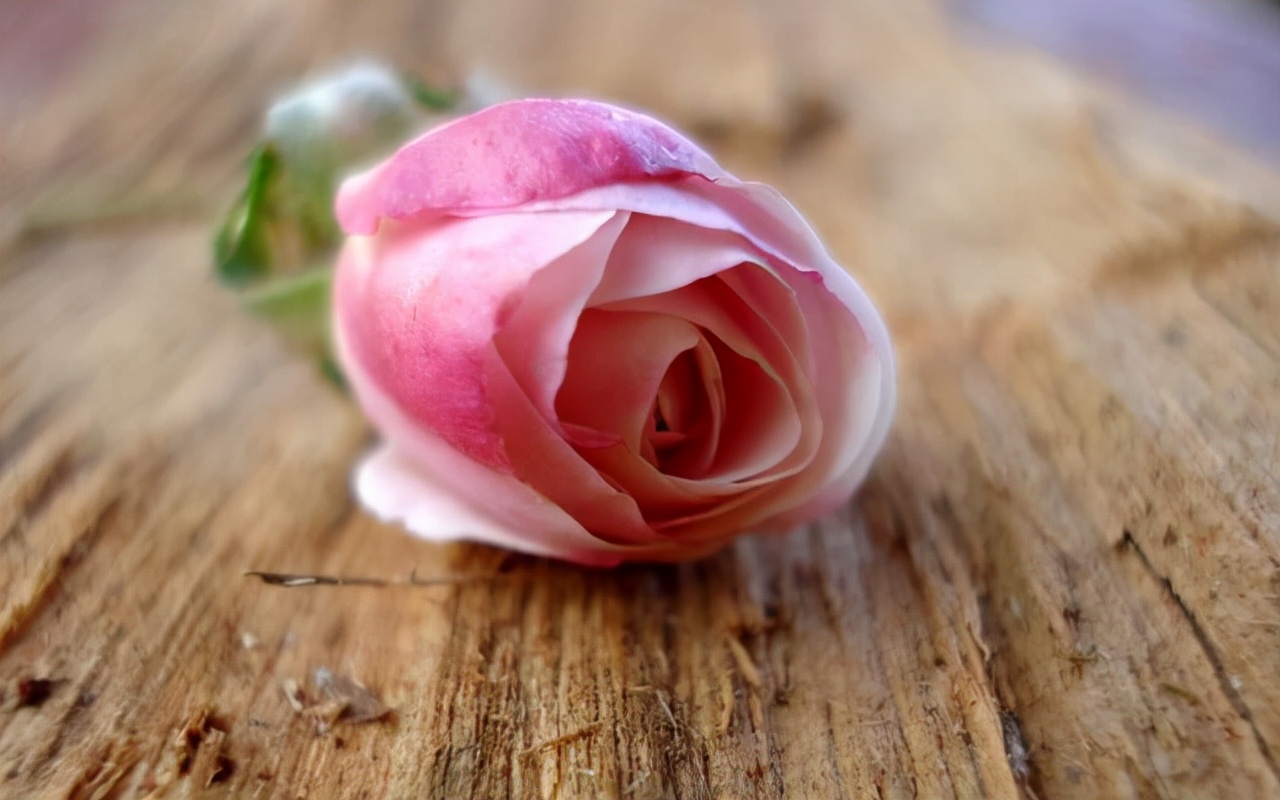 很想念一个人怎么给他发微信,如何给想念的人发微信