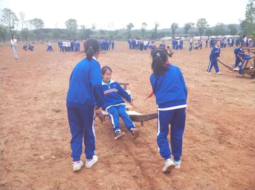 洋沙湖研学基地在哪里,洋沙湖岳阳研学