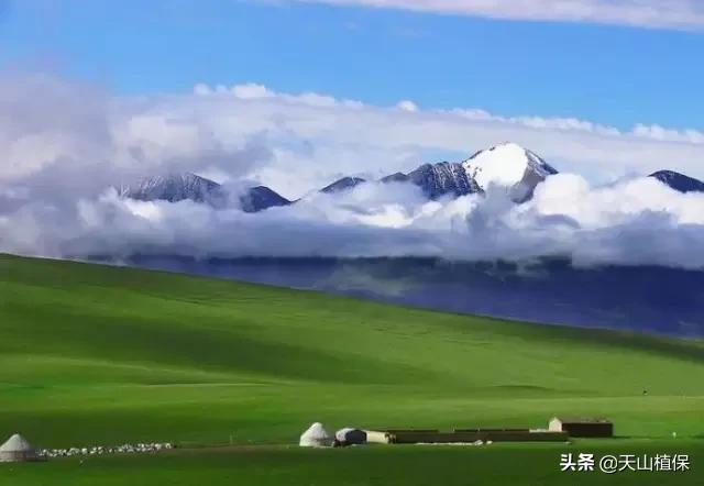 新疆有20个重要知识点,疆新