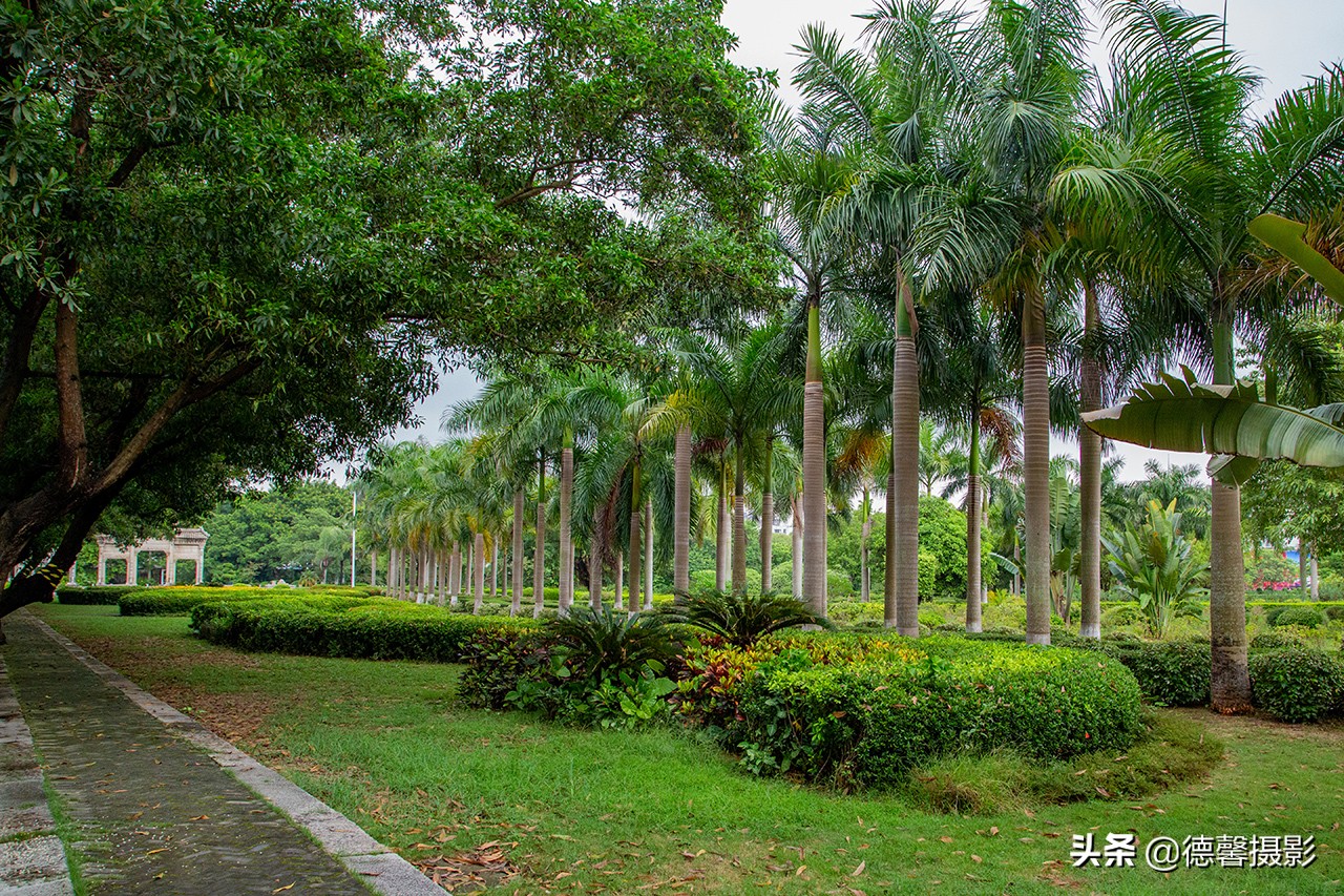 珠海梅溪牌坊游玩攻略,真实的梅溪牌坊