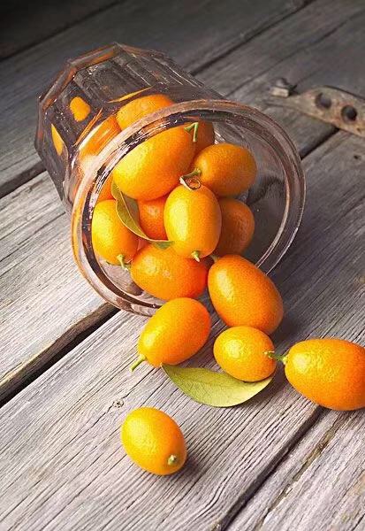 孩子咳嗽能吃水果吗,孩子咳嗽有痰吃什么