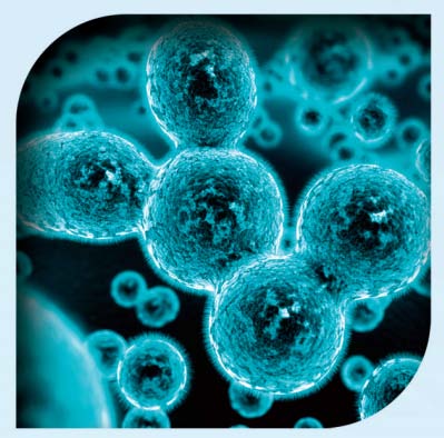 福世蓝修复,福世蓝材料怎样使用