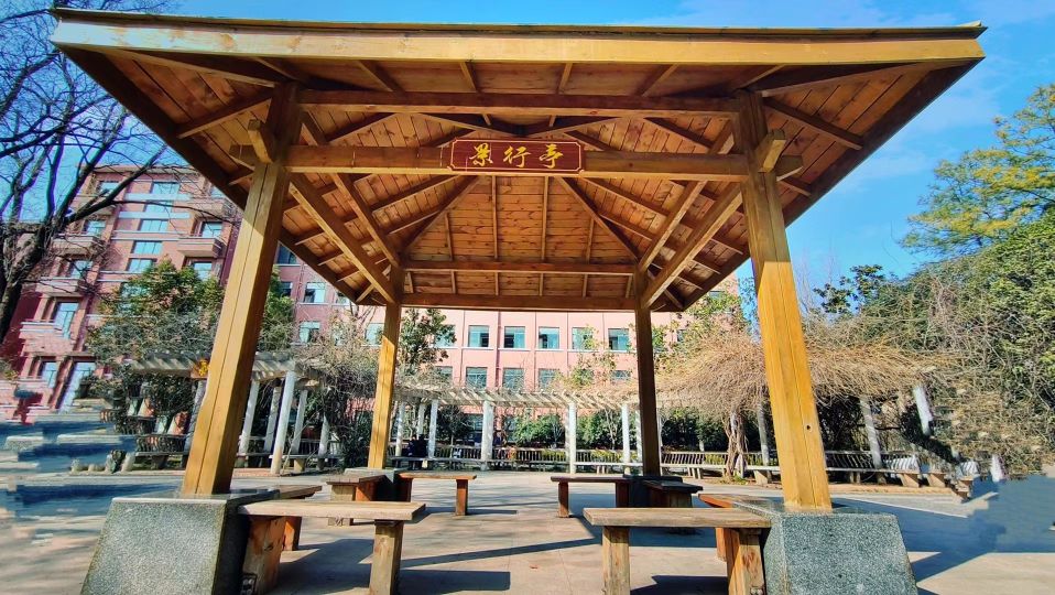 合肥学校里的网红,合肥最牛的初中学校