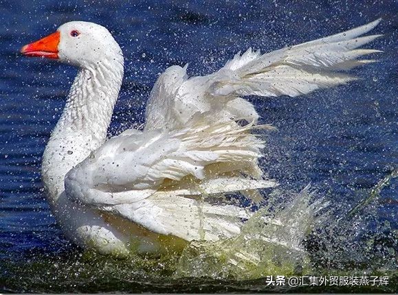 moncler羽绒服价格表2021男款,moncler羽绒服好在哪