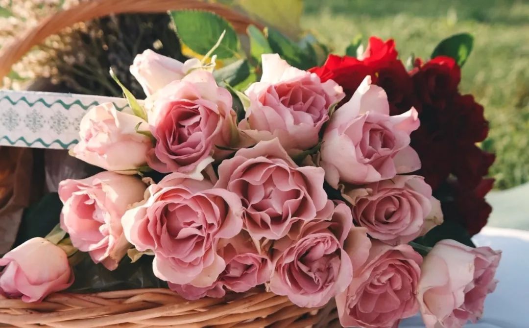 十一月火象星座水逆,11月运势排行榜