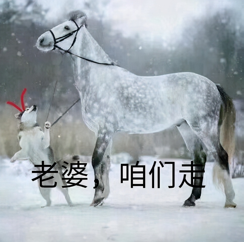 剑三丐帮苍云天策哪个好,剑三丐帮天策哪个好