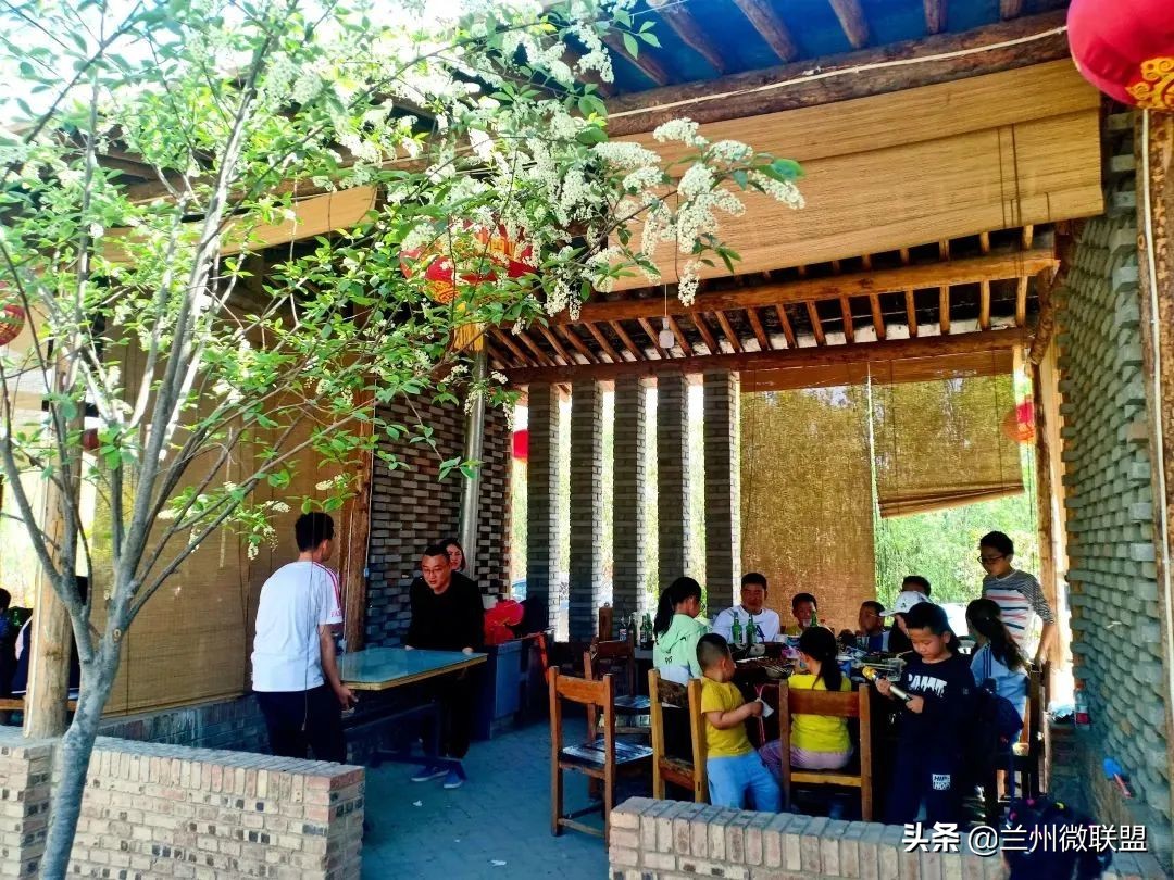 杏林湖黑天鹅,五一假期观光兰州