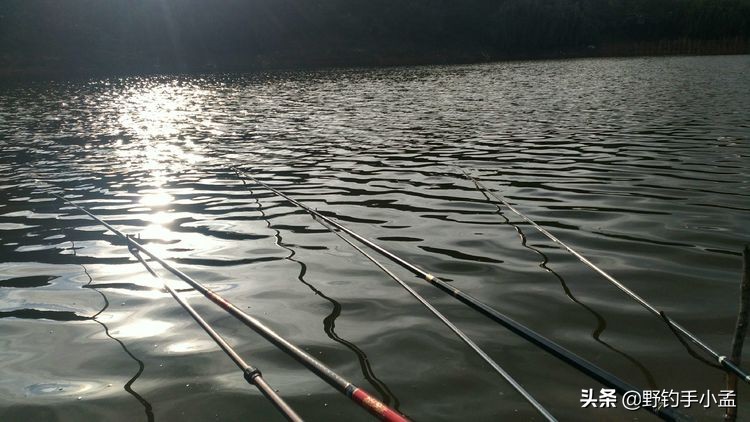 抛竿怎样精准抛投,新手抛竿你得学这三种诀窍