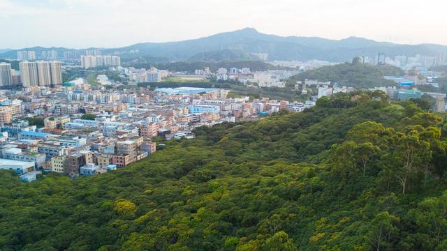 东莞三正半山酒店一楼,东莞塘厦三正半山酒店怎么样