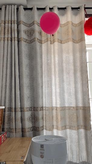 贝昂空气循环风扇手机控制,贝昂声控循环风扇