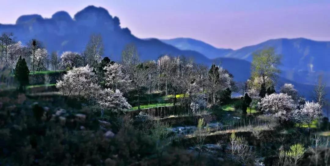 女神节相约美丽,女神节相约一起踏青赏花