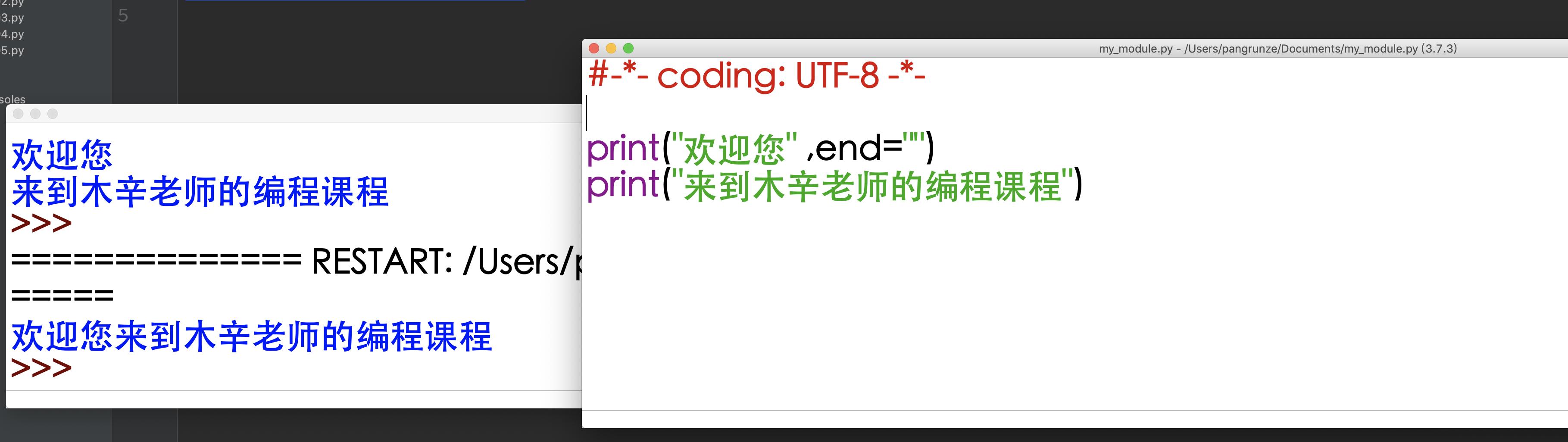 编程中的格式化输出是什么,编程格式化输出