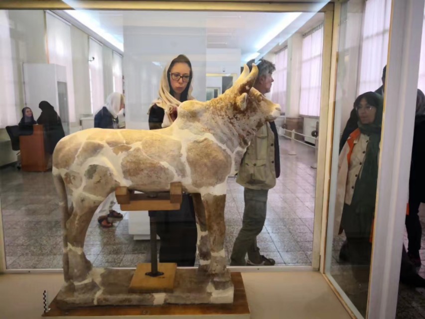 德黑兰摩的之旅视频,逛德黑兰街景