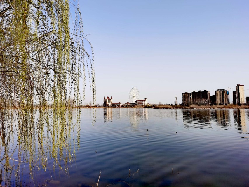 濞佹捣鑾辫尩灏忛晣,澶╂触鑾辫尩灏忛晣