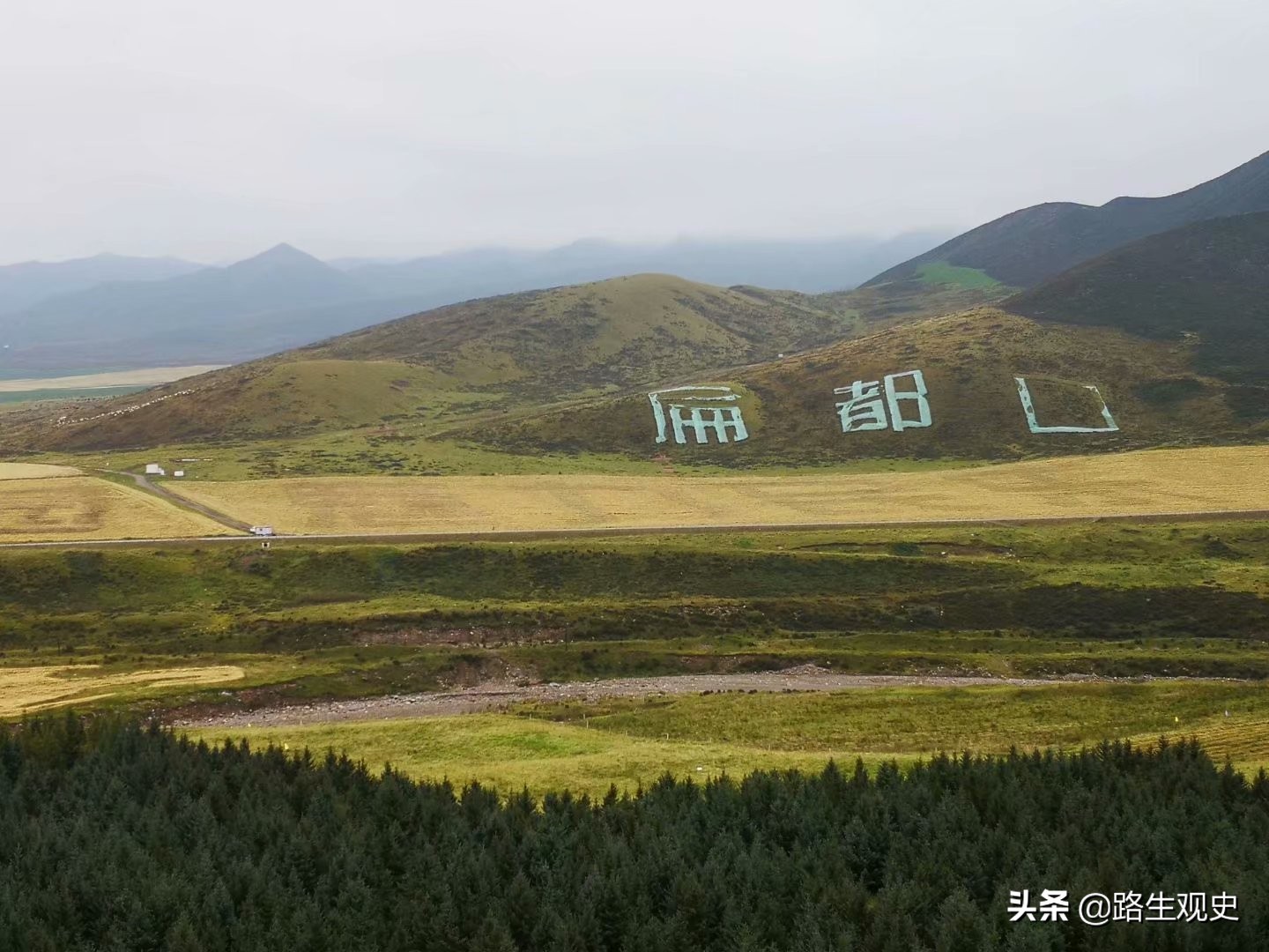 山丹军马场历史,山丹军马场的历史