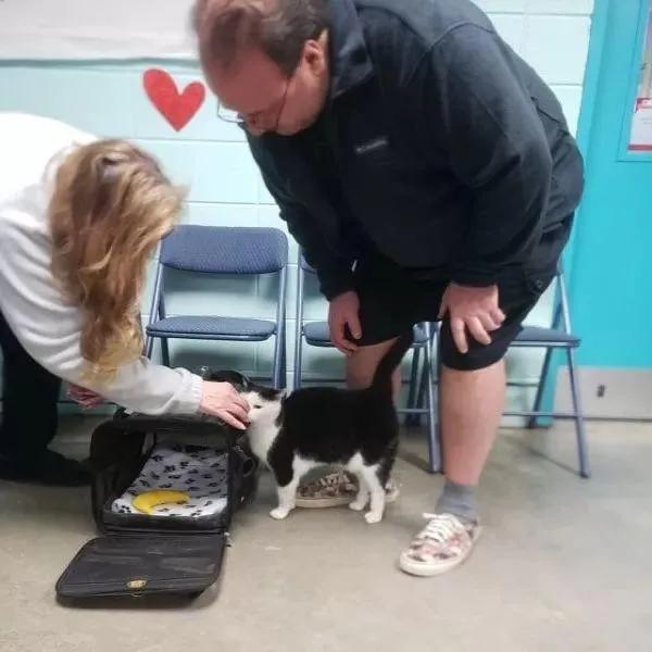 猫咪脾气不好怎么教,猫咪脾气很差怎么办