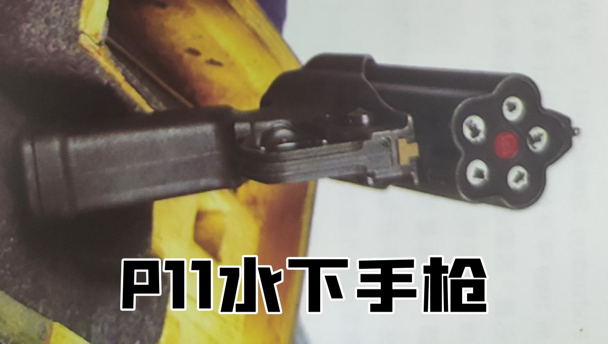 德国1930年的老枪,德国18世纪剑枪图片