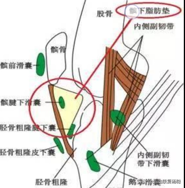 膝关节疼痛分类,膝关节疼痛是什么症状