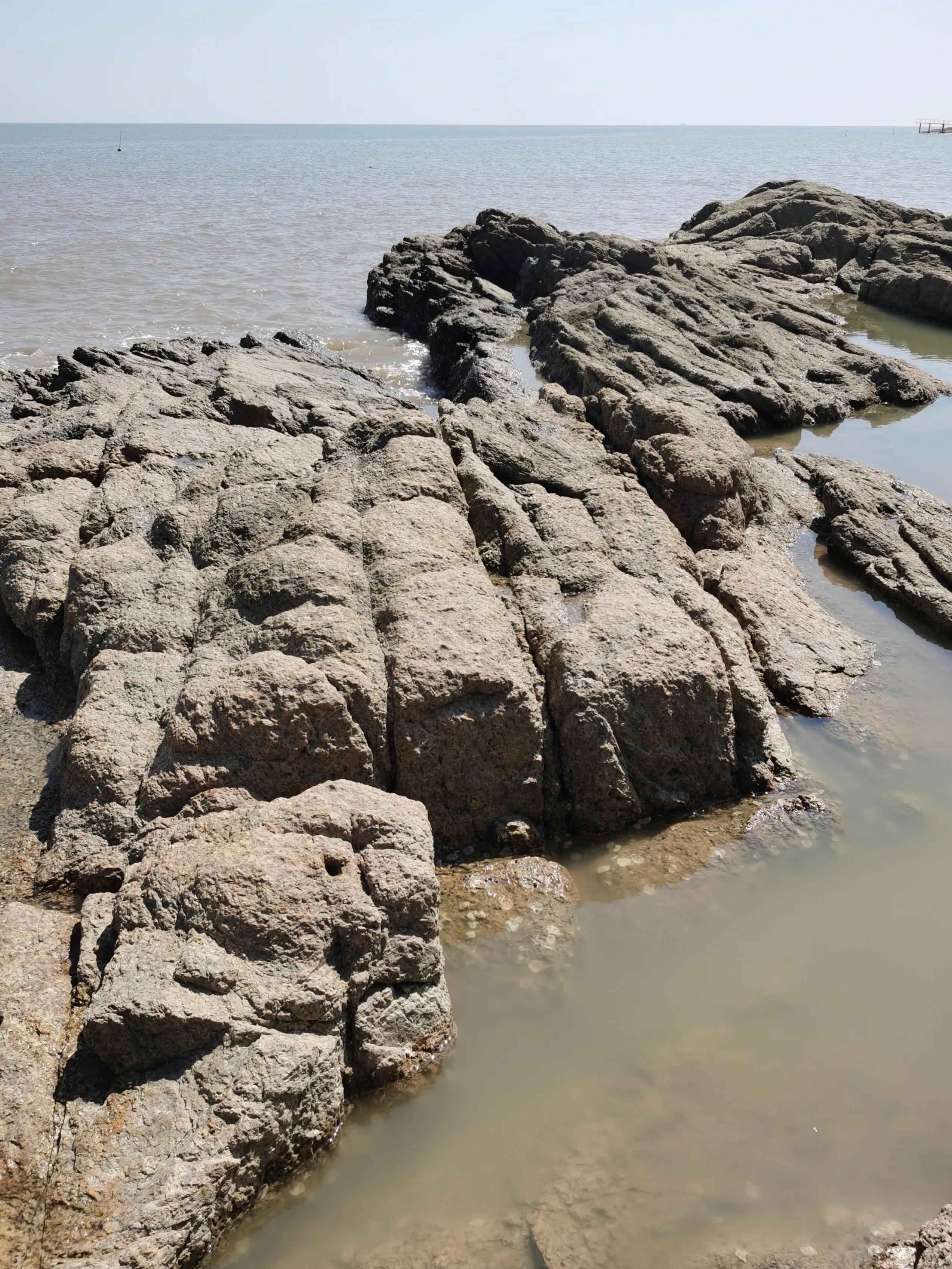 珠海偏僻人少的赶海地,珠海沙滩晚上露营赶海最佳地方