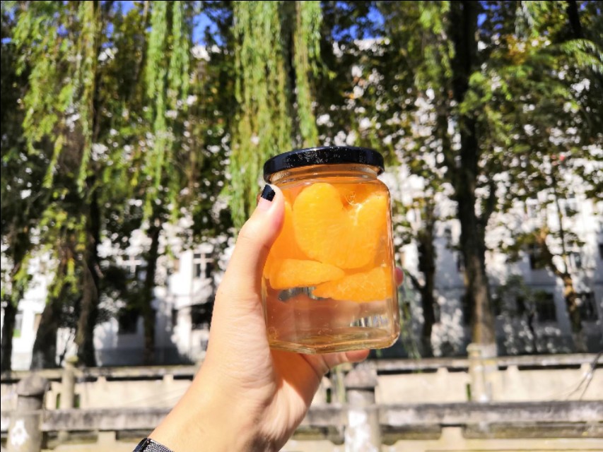 农学专业学什么,园艺专业学什么