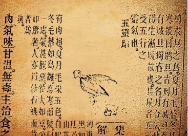 怎样认识语文教科书的地位和作用,如何正确解读部编语文教材