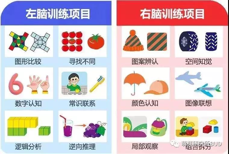 50个儿童创意绳子,100个儿童创意绳子