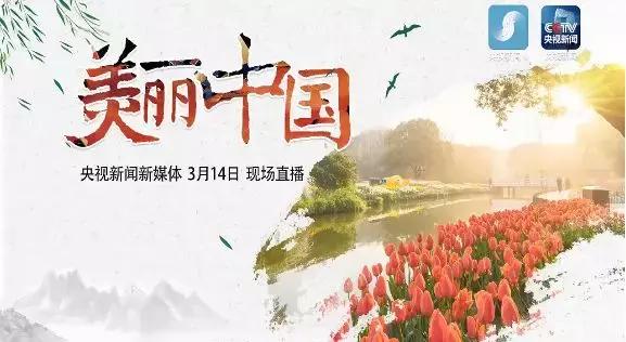 美丽中国一起去看流星雨,美丽中国一起走背面视频