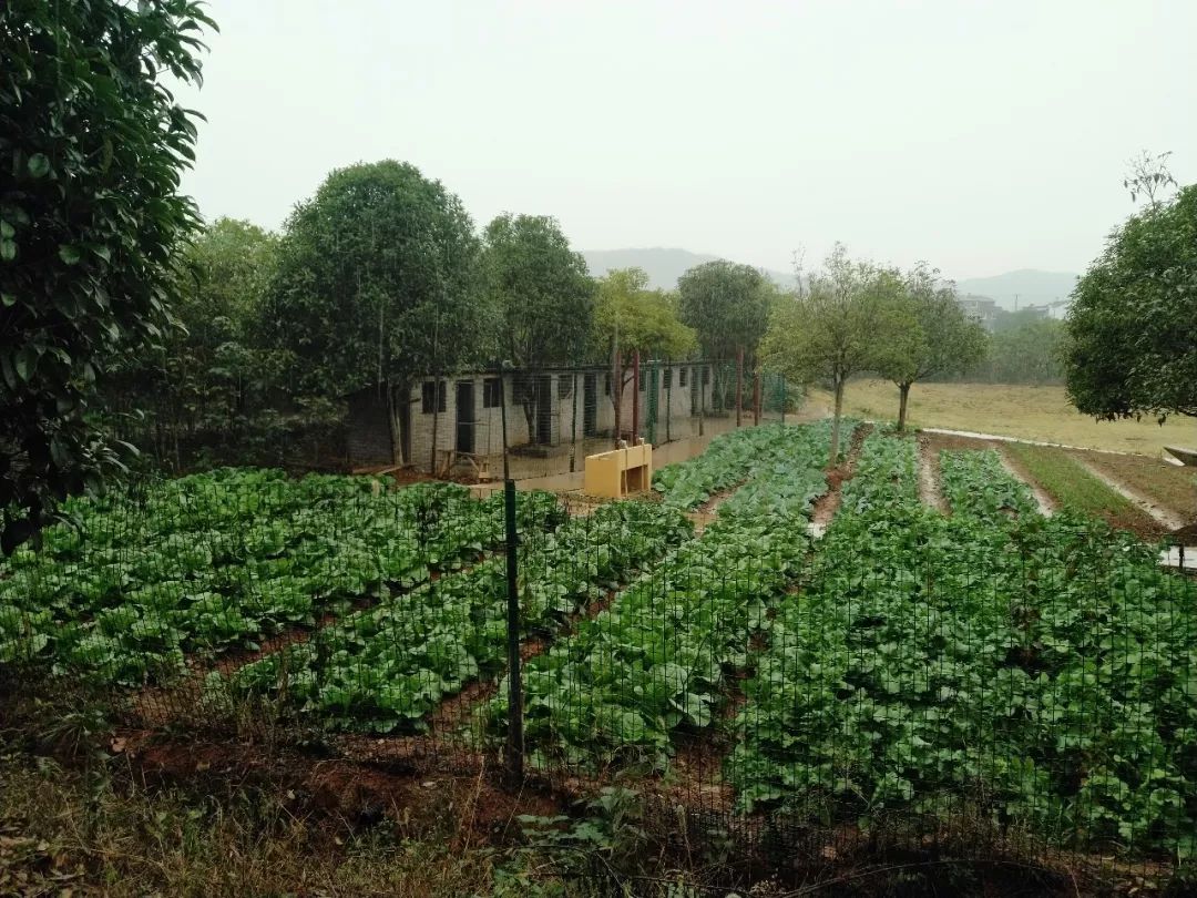 姝︽眽鑻变鸡灏忓眿,姝︽眽鏈夊効绔ヨ鏂界殑鎴胯溅钀ュ湴