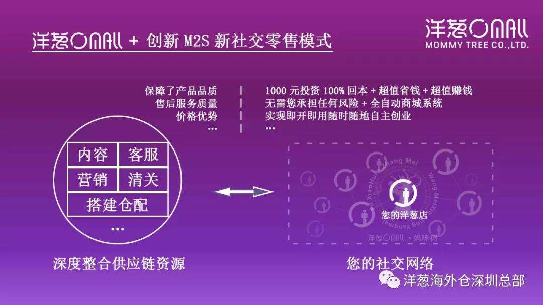 洋葱的经营方法,洋葱创业史