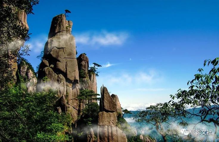 赵军|颖滨尚见荷钱小,堤岸时逢柳色新