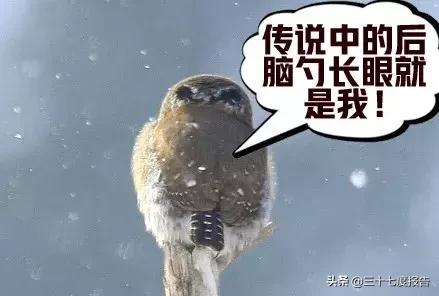 不喂奶也要开奶么,不喂奶该做什么