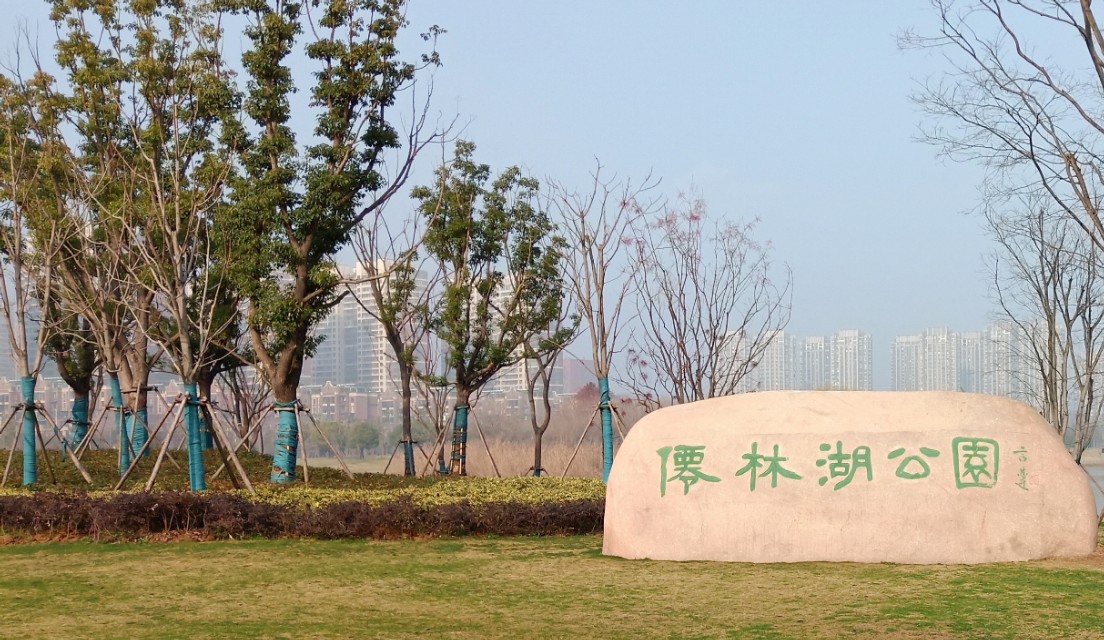 仙林湖游玩,南京仙林湖游玩攻略